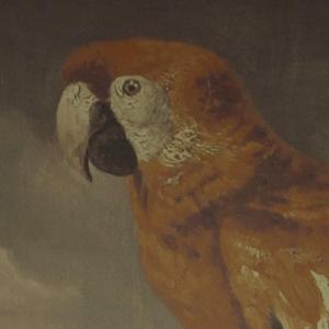 国产特黄AA级毛片
