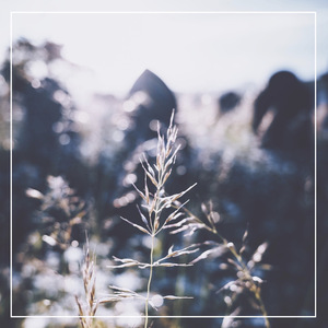 国产特黄AA级毛片
