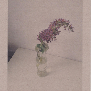 国产特黄AA级毛片
